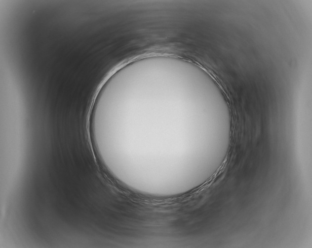 X0000114650100200910201009