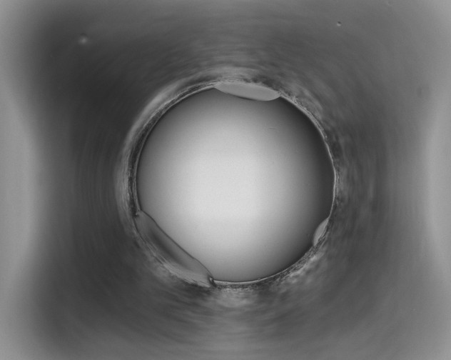 X0000114650101200910201009