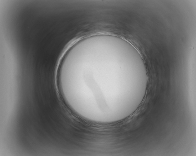X0000114650104200910201009