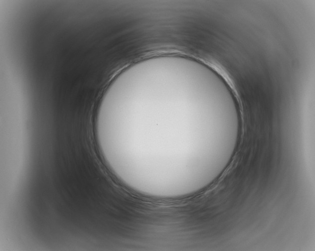 X0000114650105200910201009