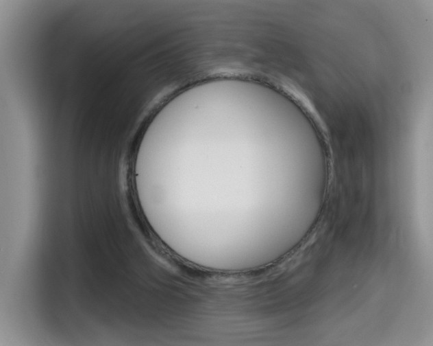 X0000114650106200910201009