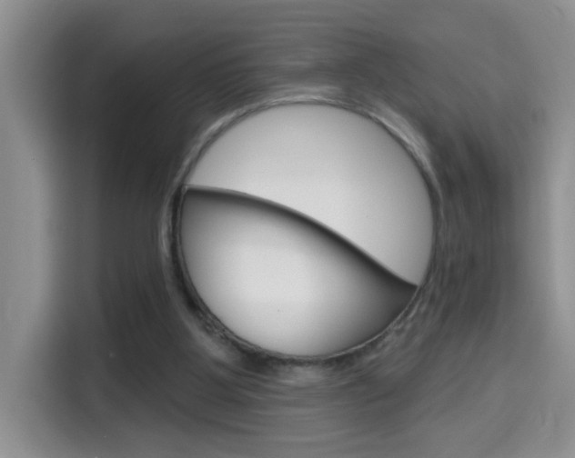 X0000114650107200910201009