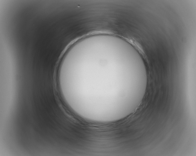 X0000114650108200910201009