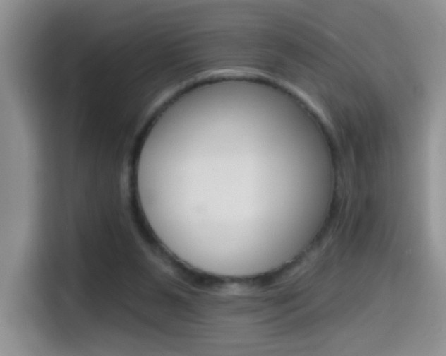 X0000114650111200910201009