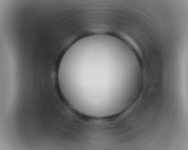 X0000114650113200910201008