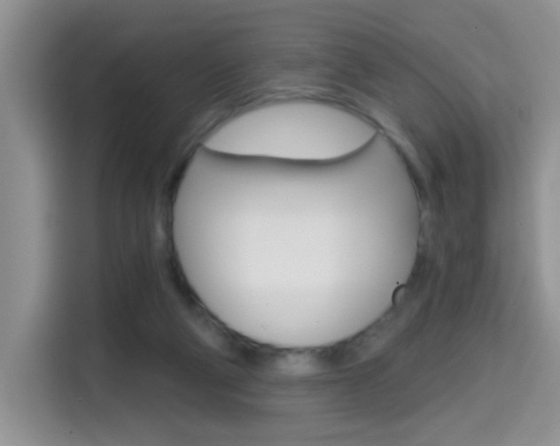 X0000114650114200910201008
