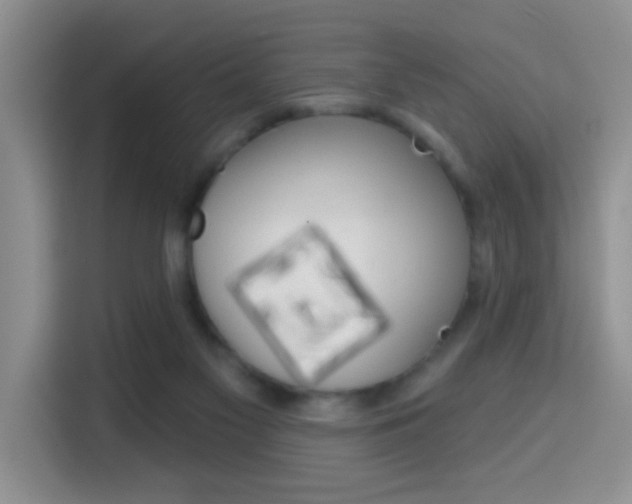 X0000114650117200910201008