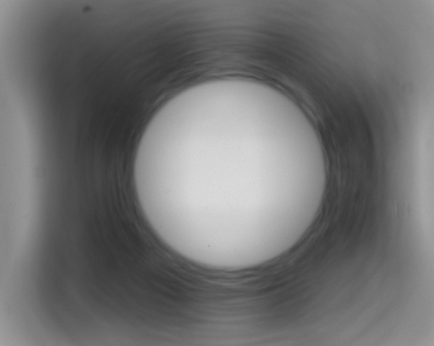 X0000114650121200910201008