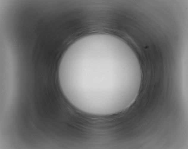 X0000114650124200910201008
