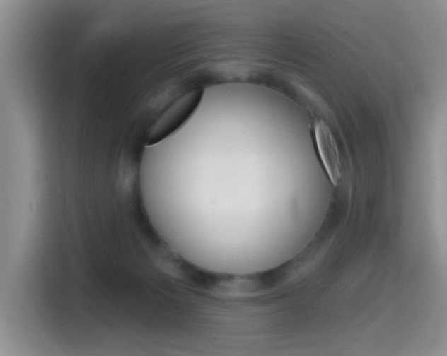 X0000114650125200910201008