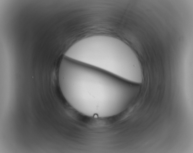 X0000114650127200910201008