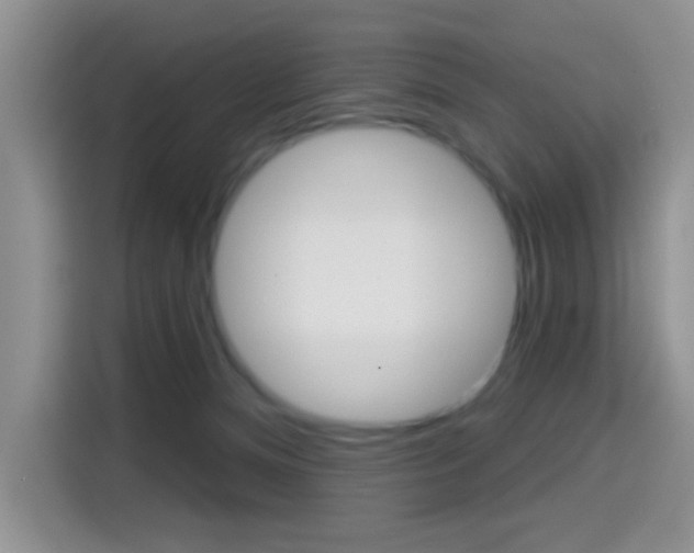 X0000114650128200910201008