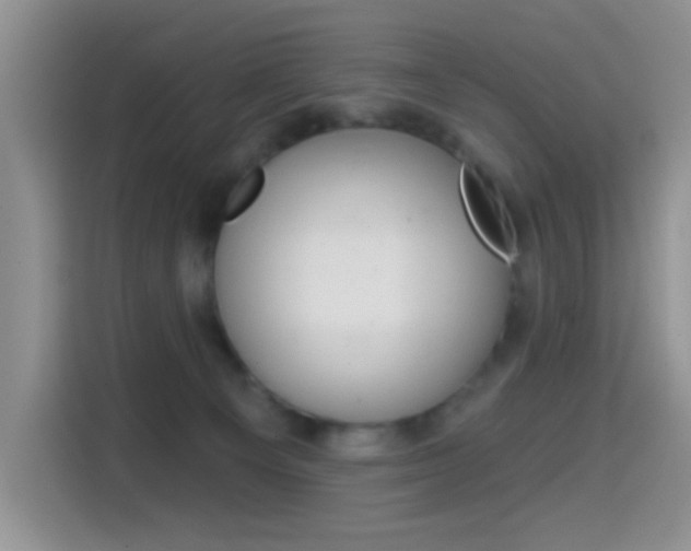 X0000114650129200910201008