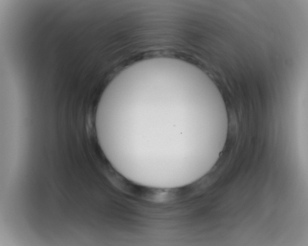 X0000114650130200910201008