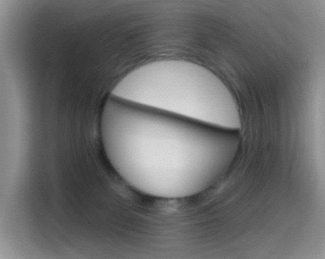 X0000114650131200910201008