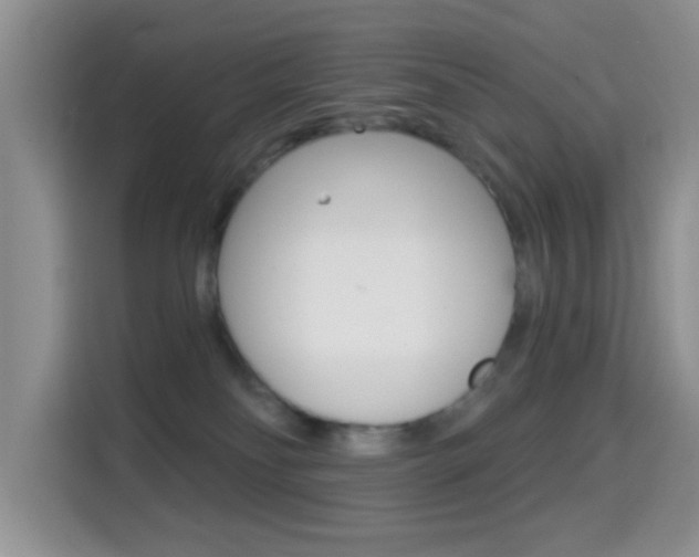 X0000114650134200910201008