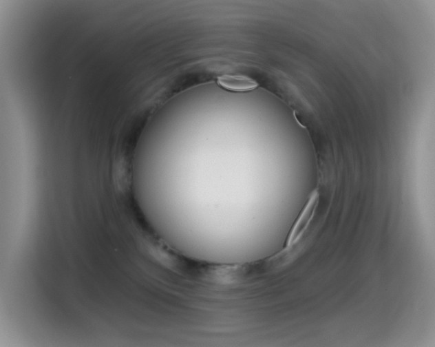 X0000114650136200910201008
