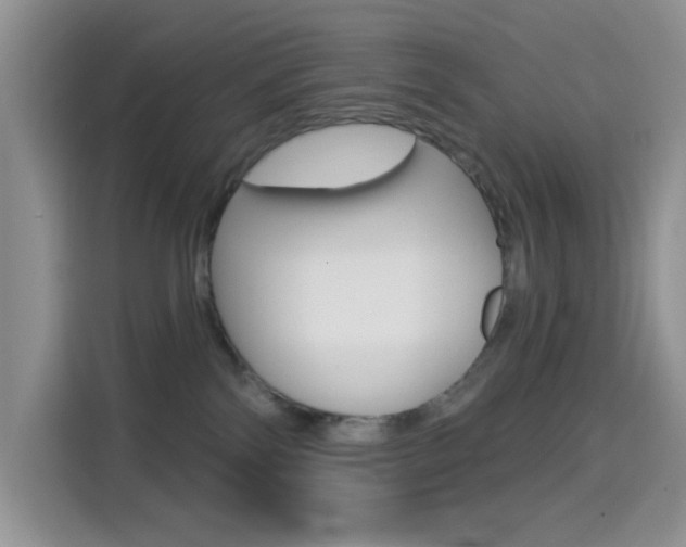 X0000114650138200910201008