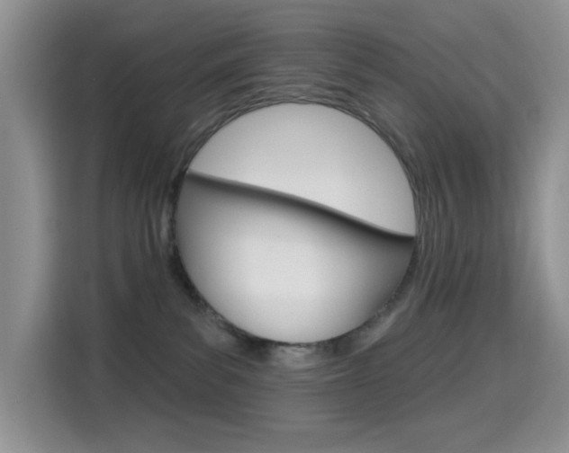 X0000114650139200910201008