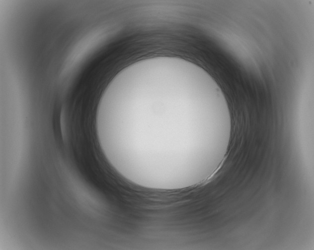 X0000114650140200910201008