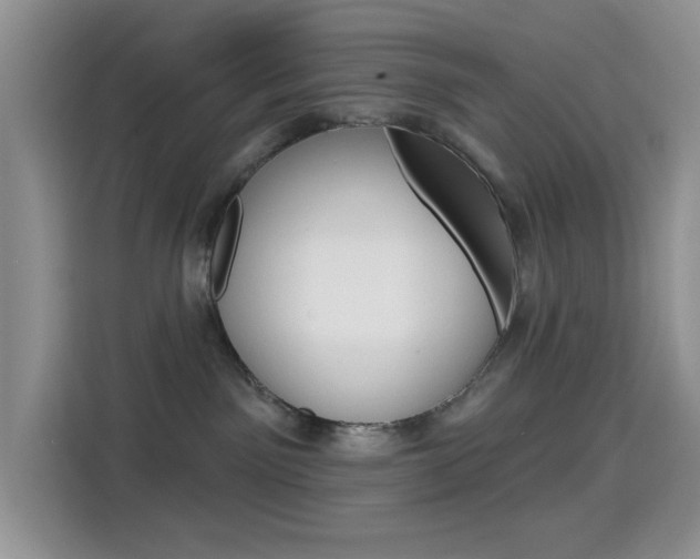 X0000114650141200910201008