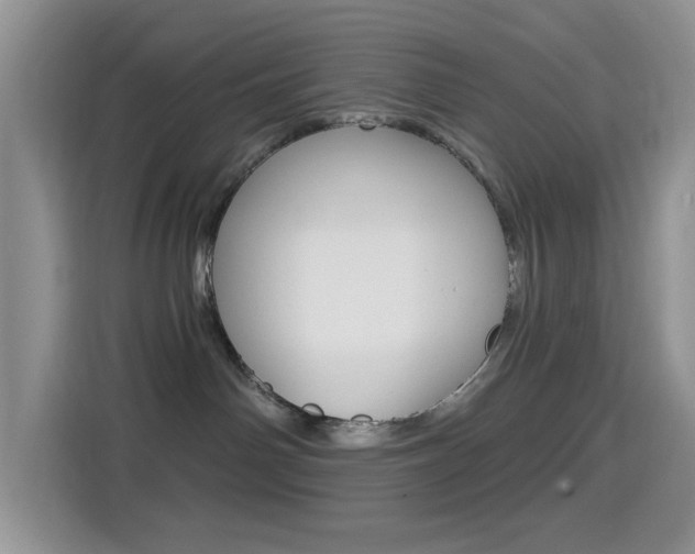 X0000114650142200910201008