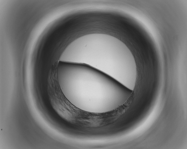 X0000114650143200910201008