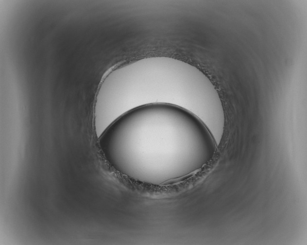 X0000114650144200910201008