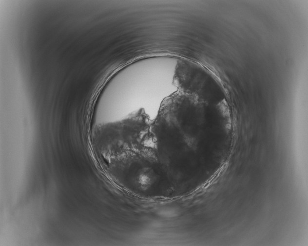 X0000114650145200910201007