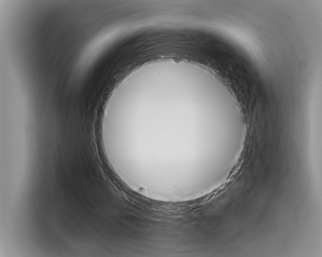 X0000114650146200910201007