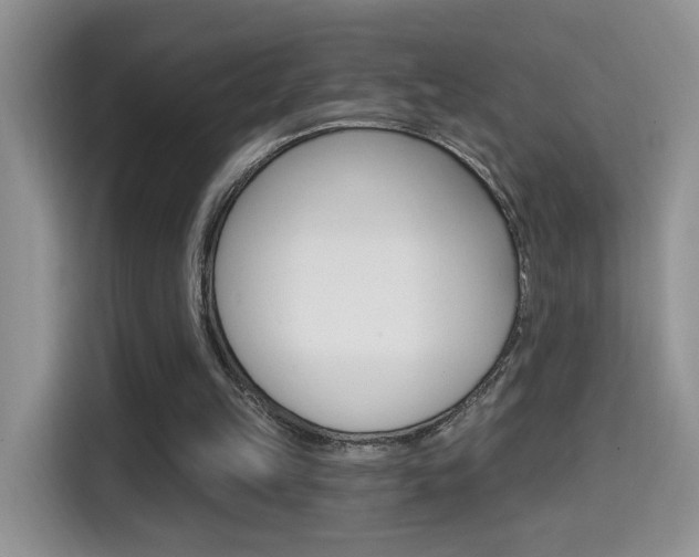 X0000114650149200910201008