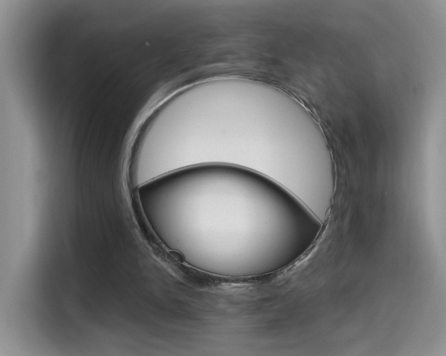 X0000114650150200910201008