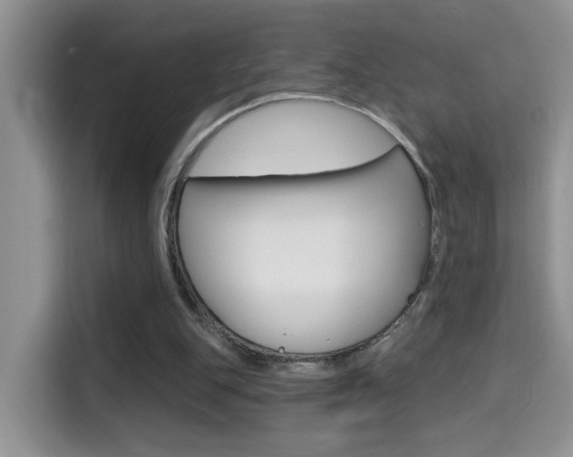 X0000114650151200910201008