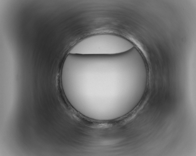 X0000114650153200910201008