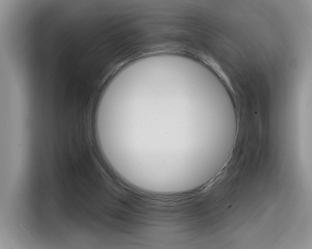 X0000114650154200910201008