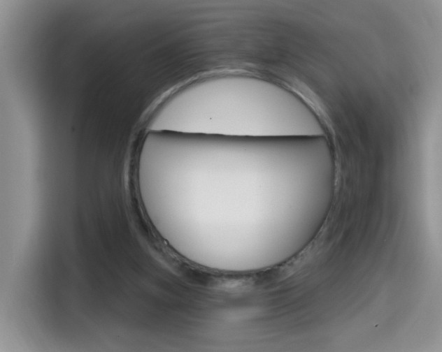 X0000114650155200910201008