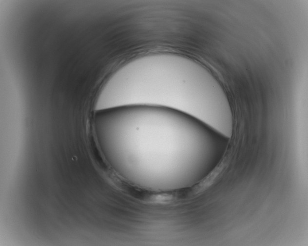 X0000114650158200910201008