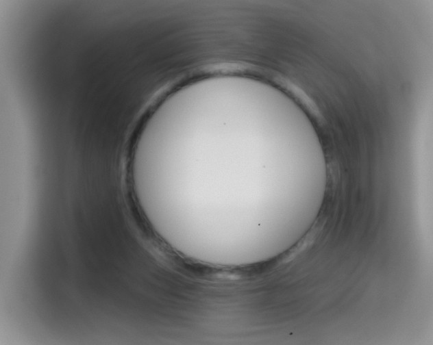 X0000114650159200910201008