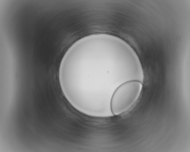 X0000114650162200910201008