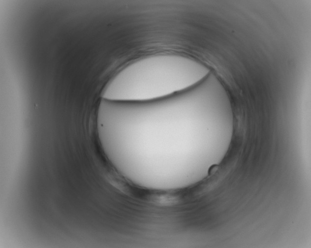 X0000114650165200910201008