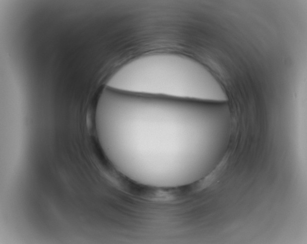 X0000114650166200910201008
