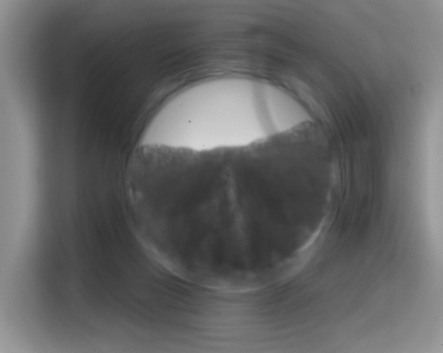 X0000114650167200910201008
