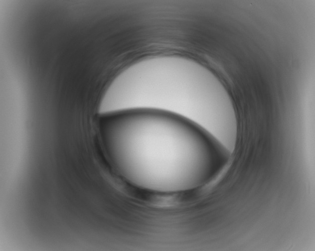 X0000114650170200910201008