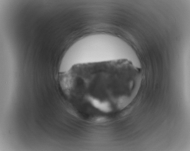 X0000114650173200910201008