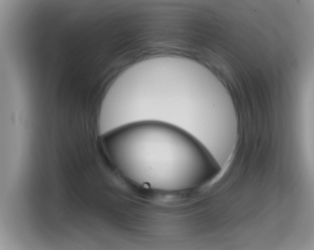 X0000114650174200910201008