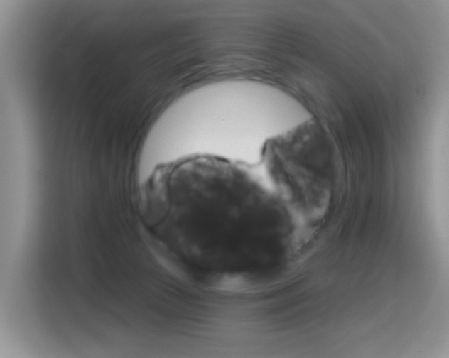 X0000114650177200910201008