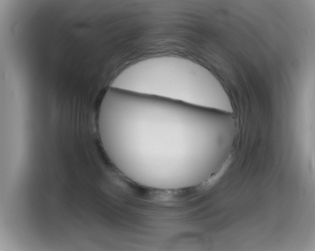 X0000114650182200910201008