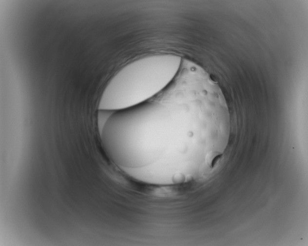X0000114650183200910201008