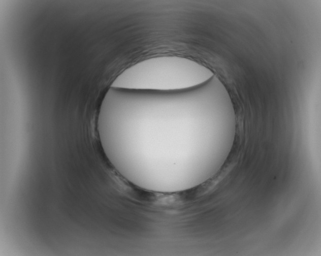 X0000114650185200910201008