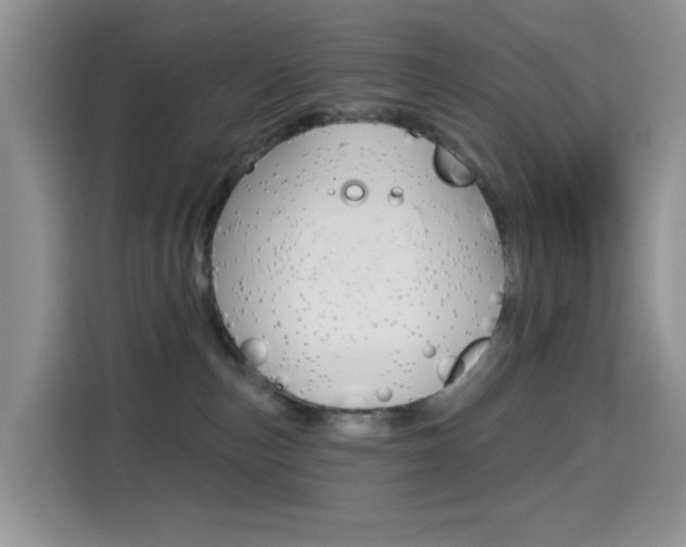 X0000114650187200910201008